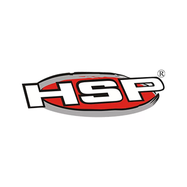 Is HSP a good RC brand? | Should you get one?